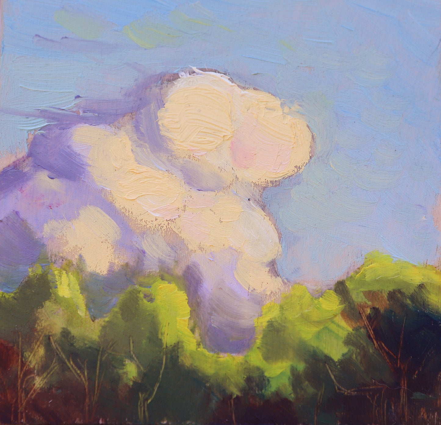 Kaia Aitchison original oilmpainting
