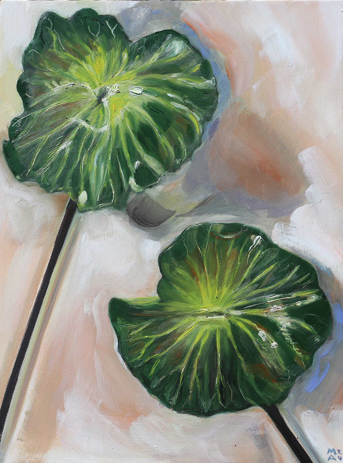 Lily Pads