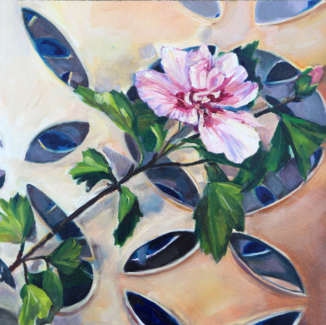Rose of Sharon