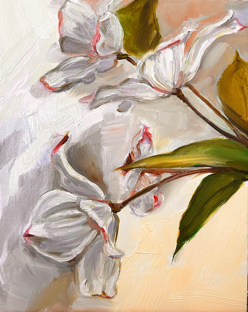 Dogwoods