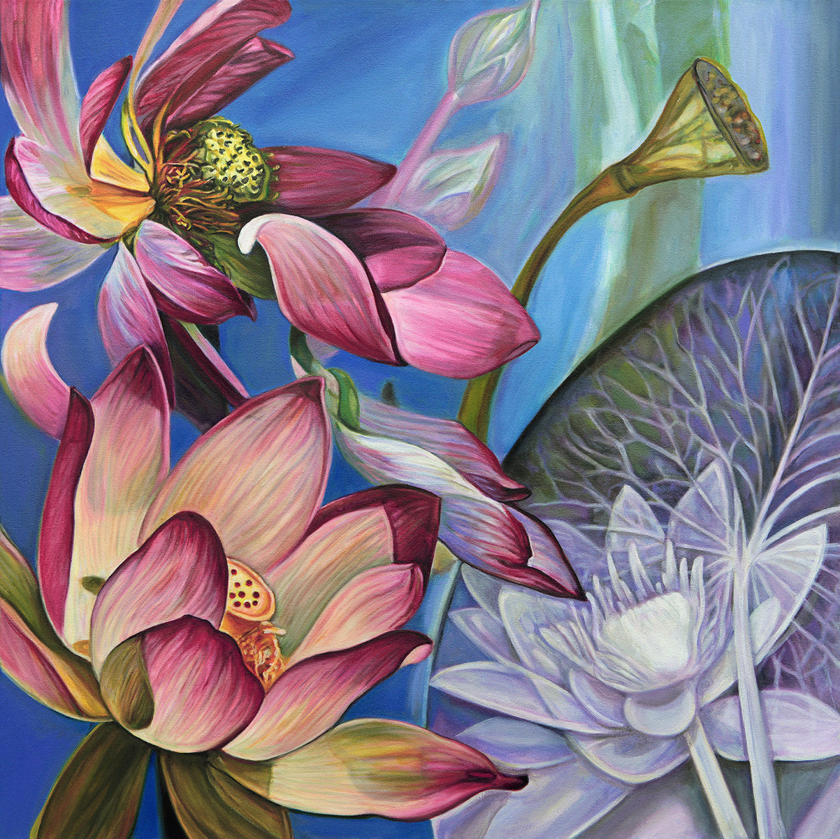 Bloom Cycle