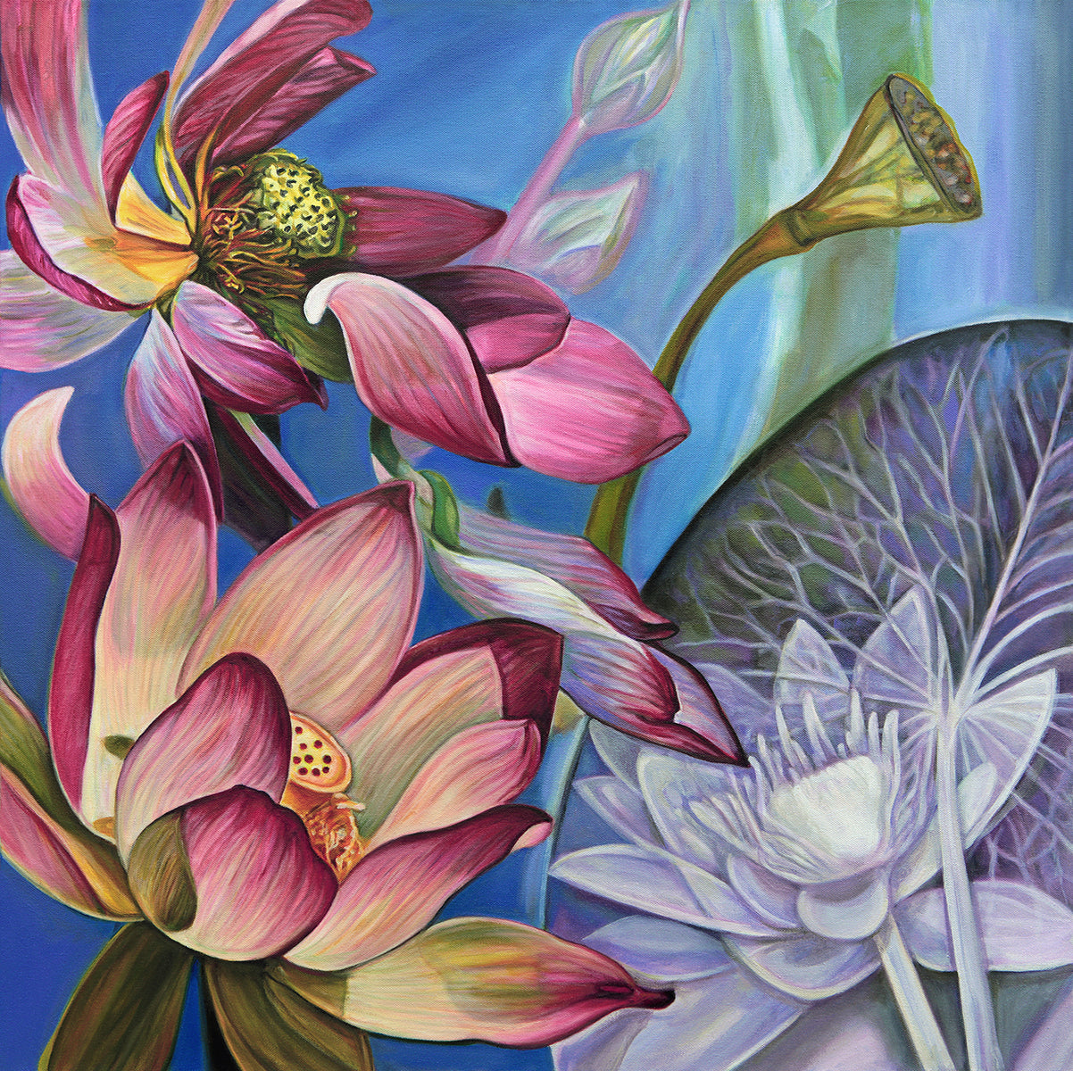 Bloom Cycle