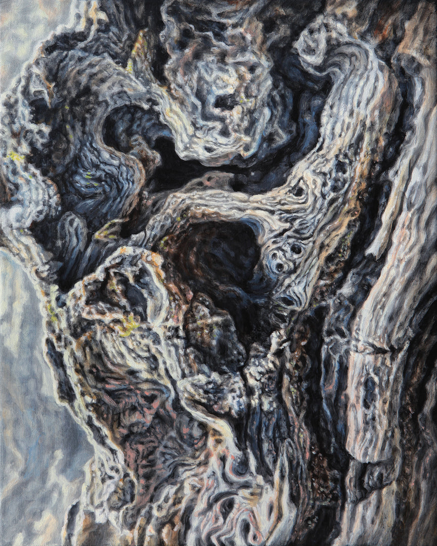 Patterns of Growth and Decay