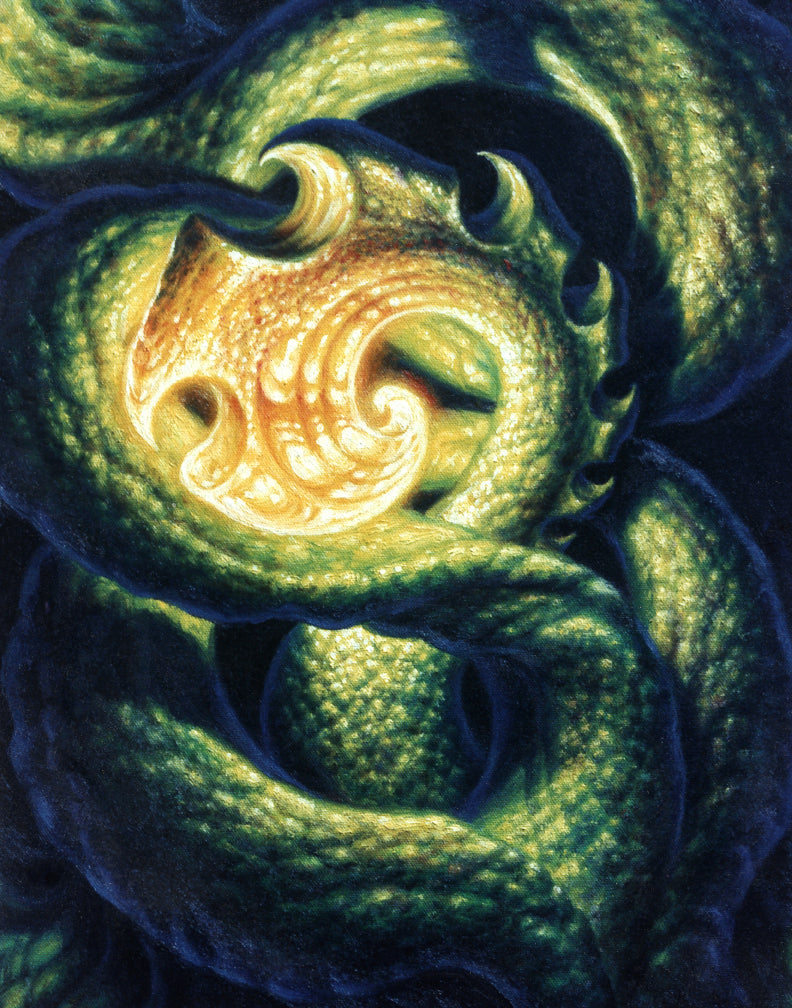Hook Coil