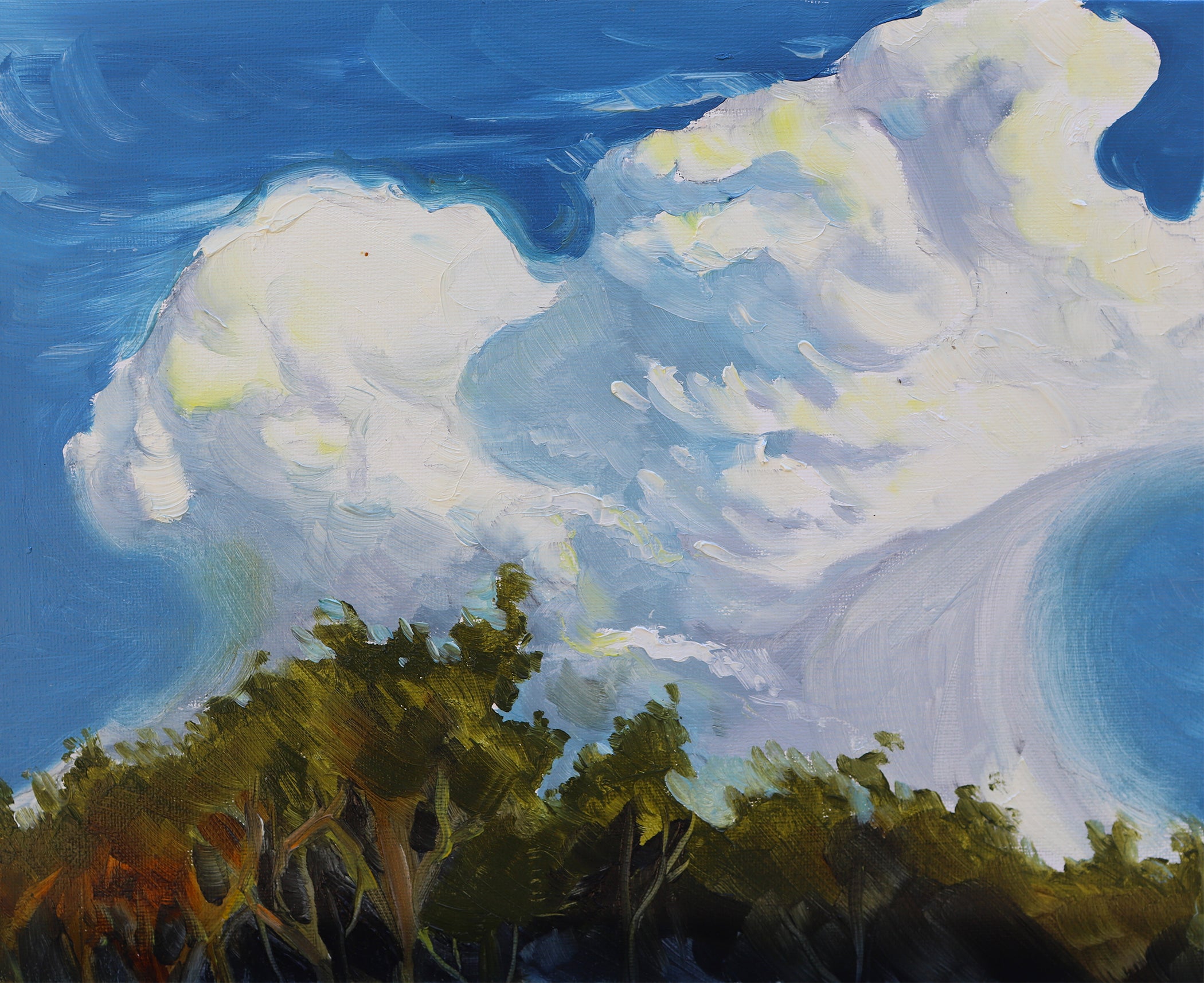 Oil painting of billowing storm clouds over a treeline by Kaia Aitchison