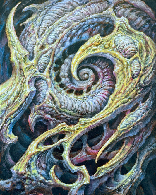 Ammonite archival print large