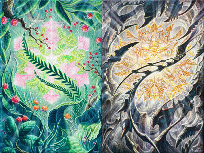 Lightform 7: Plantform and Lightform 8: Mechform print set