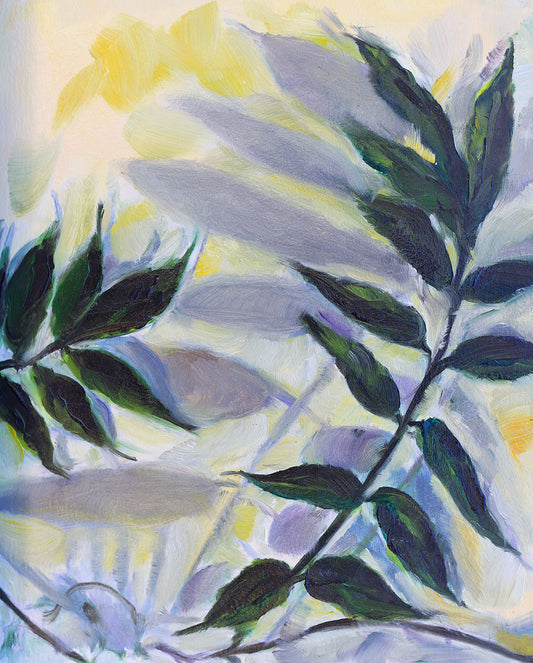 Plant and Shadow 1
