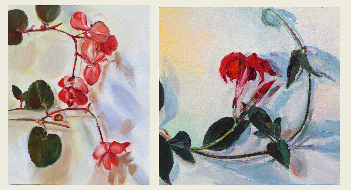 Begonia and Mandevilla set